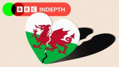 Why Wales fell out of love with Labour