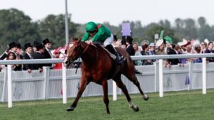 Calandagan crowned Cartier Horse of the Year