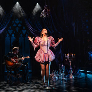 In ‘Cat Cohen: Broad Strokes,’ a Comic Faces Death (and Being Basic)