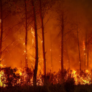 Wildfires Live Updates: Extreme Heat Threatens New Blazes as Spain and France Confront ‘Unprecedented’ Fire Season