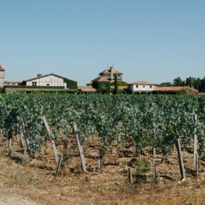 Fire Raging Near Bordeaux Brings More Bad News for Its Vineyards