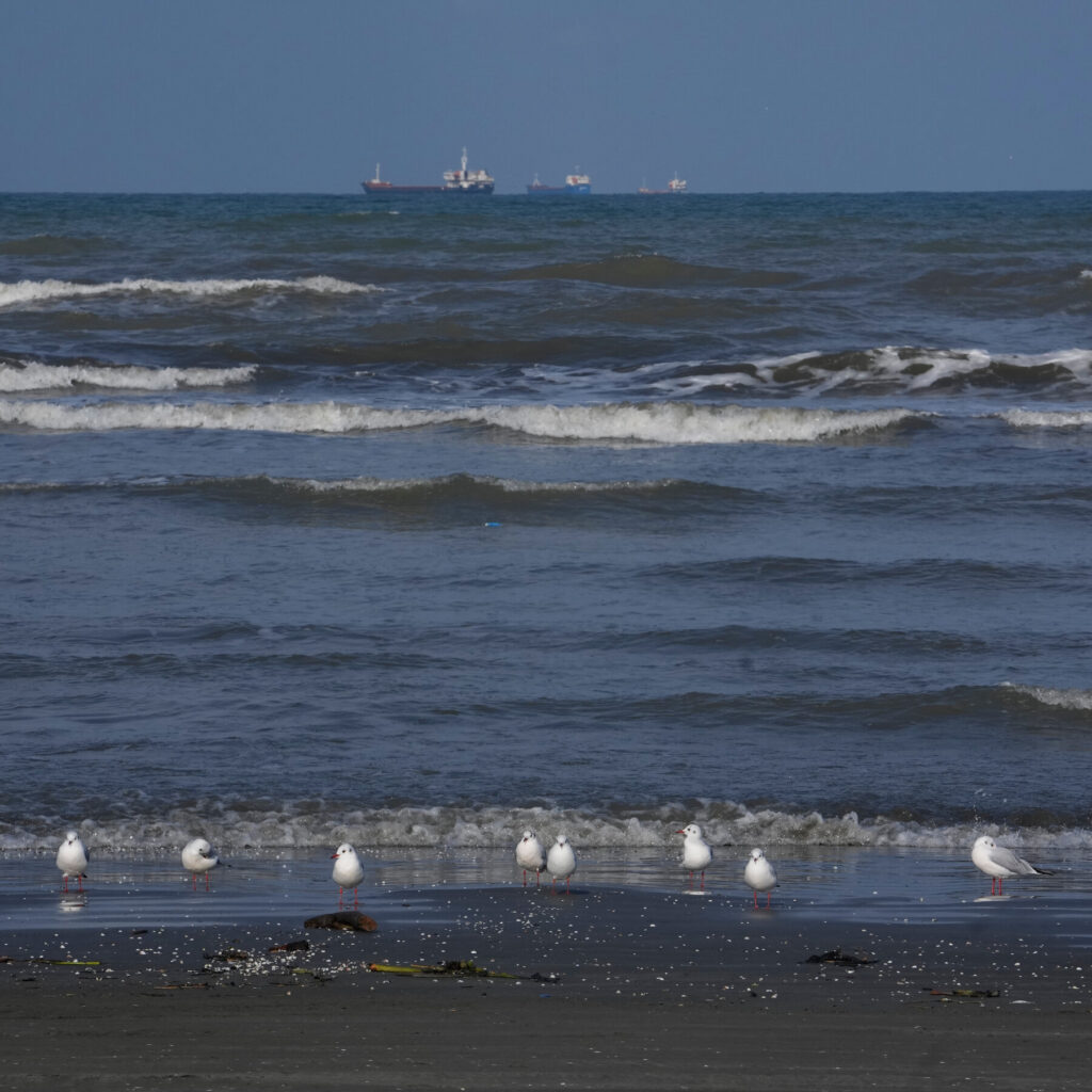 Ukraine’s Strike on an Iranian Ship Could Bring Two Wars Closer