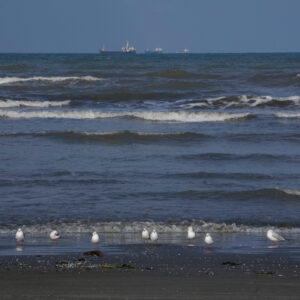 Ukraine’s Strike on an Iranian Ship Could Bring Two Wars Closer
