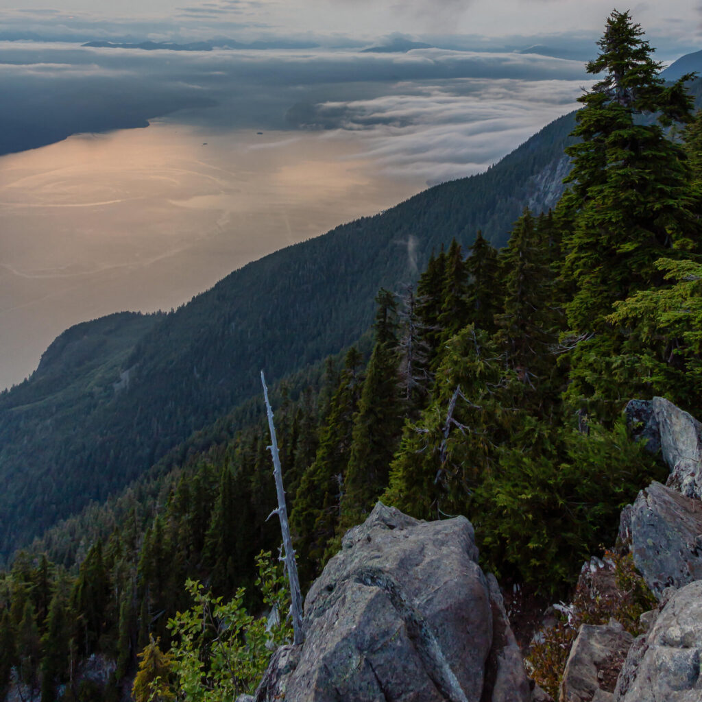 Teen Hikers Rescued 12 Hours Into Google Maps Hike