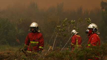 Devant le manque de moyens et d&rsquo;effectifs lors des incendies, la France a besoin « d&rsquo;un vrai ministre qui gère la sécurité civile », estime le syndicat Sud Sdis de l&rsquo;Yonne