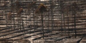 Incendies : dans le Var, les pompiers face à un nouveau feu « pas encore fixé », 6 300 hectares parcourus ; situation « stable » en Gironde