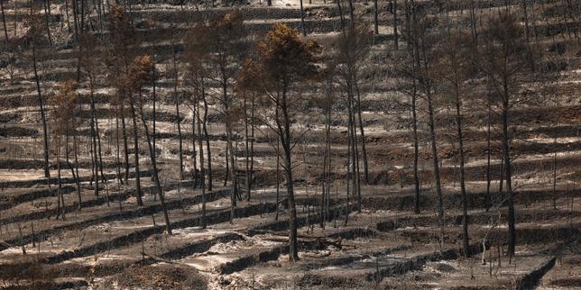 Incendies : dans le Var, les pompiers face à un nouveau feu « pas encore fixé », 6 300 hectares parcourus ; situation « stable » en Gironde