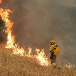 Why Is Europe Burning?