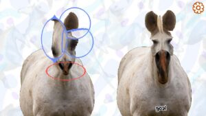 This week&rsquo;s most compelling new Steam game is Horse Magnifier, which is about magnifying horses