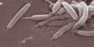 Un nouveau cancer sur huit est causé par des infections, selon une étude du CIRC