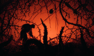 KimStim Acquires North American Rights to León & Cociña’s ‘Donkey Princess’ (EXCLUSIVE)