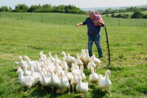 Jeremy Clarkson Is Already Thinking About What Comes After ‘Clarkson’s Farm’: ‘It Has To Be Unbelievably Ambitious’