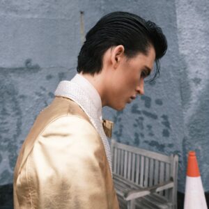 This Town Is Crazy About Elvis