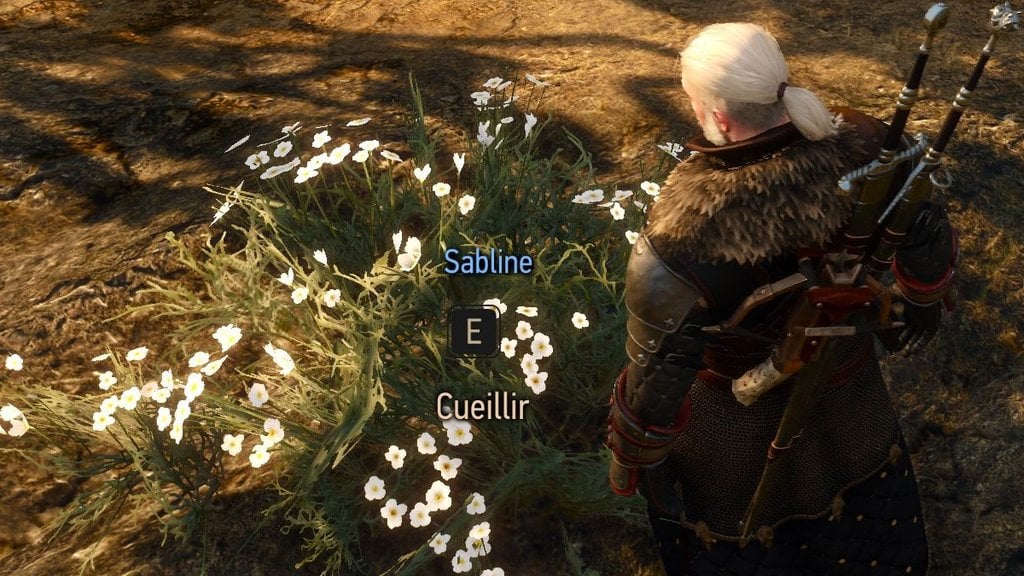 Sabline The Witcher 3 Remastered : Où trouver cette fleur ?