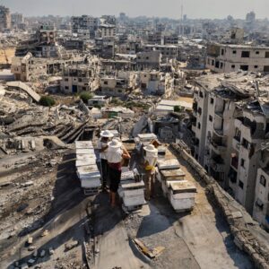 Wringing Hope From the Rubble of Gaza