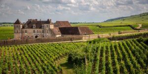 Œnotourisme : de la montgolfière à l’escape game, le vignoble français multiplie les « expériences »