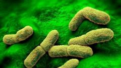 US &lsquo;watching closely&rsquo; after plague researcher dies in Russia, Rubio says