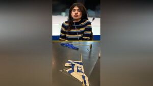 Rima Hassan, accusée d&rsquo;avoir renversé des drapeaux israélien et européen