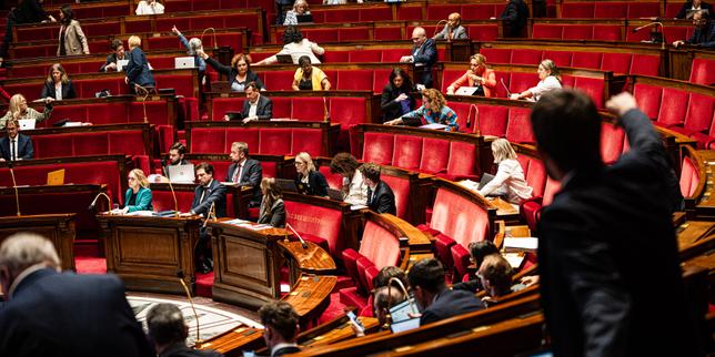 Violences sexuelles et familiales : les députés approuvent la création d’une instance, indépendante du gouvernement