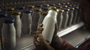 That&rsquo;s some fiiiiine lookin&rsquo; milk, but Rust devs warn that &lsquo;cream is a more powerful consumable&rsquo;
