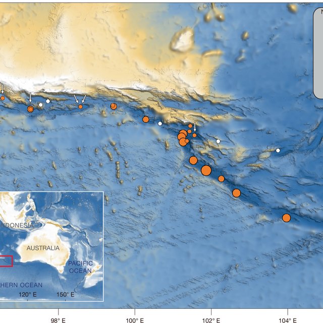 A 5.3-million-year-old deep-sea whale necropolis in the Diamantina Zone