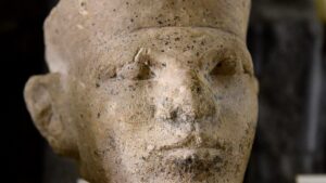 New forensic evidence supports Egyptian « retainer sacrifice »