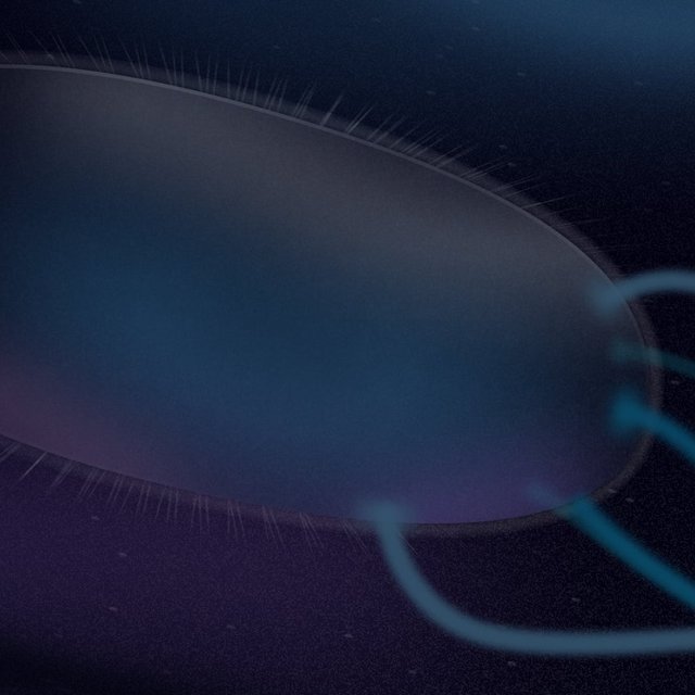 E. coli chemotaxis: the baffling intelligence of a single cell