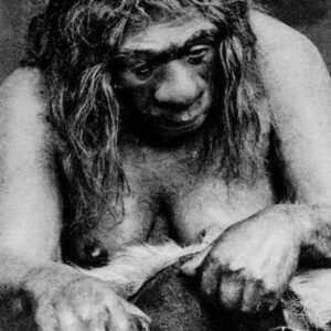 Neanderthals Among Us by Peter Sahlins review