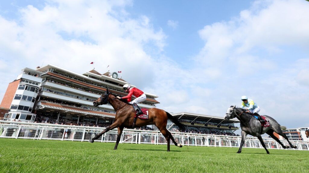 Audience&rsquo;s full-sister makes first start at Southwell
