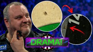 First a fly interrupts play, then a spider tries too!