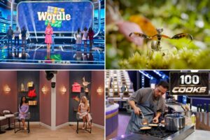 The Deadline Dozen: The Best Unscripted Shows Heading To MIPCOM Including ‘Wordle’, ‘Marriage Market’ & ‘Hidden Planet’